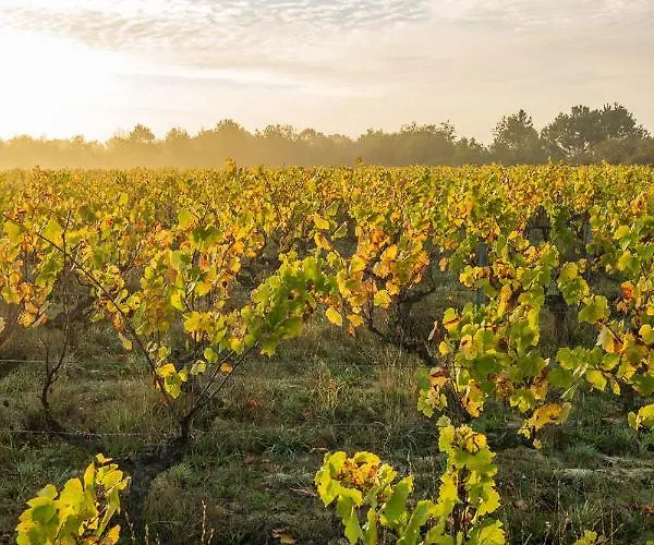 Escale Oceane 5 Minutes Des Plages
